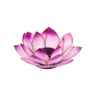 Lotus Teelichthalter Stirnchakra (violett)