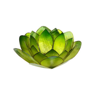 Lotus Teelichthalter groß - grün