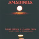 Werber, Bruce & Fried, Claudia: Amadinda - Konzept...
