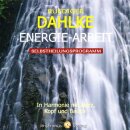 Dahlke, Rüdiger: Energie Arbeit (CD, 2013)